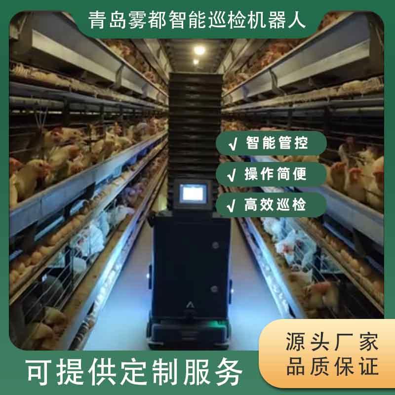 智能養(yǎng)雞巡檢機器人 革新家禽養(yǎng)殖管理的科技新星